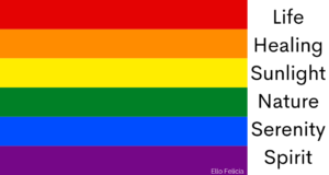 rainbow flag
